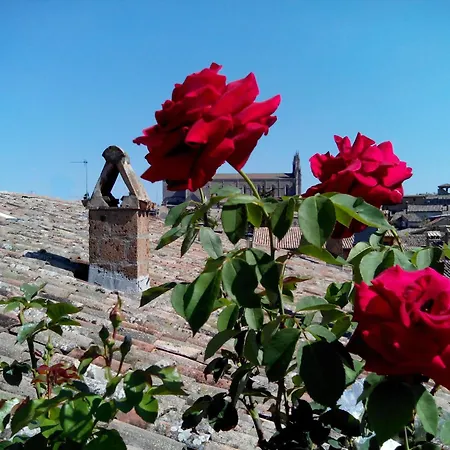 Orvieto in Terrazza-3
